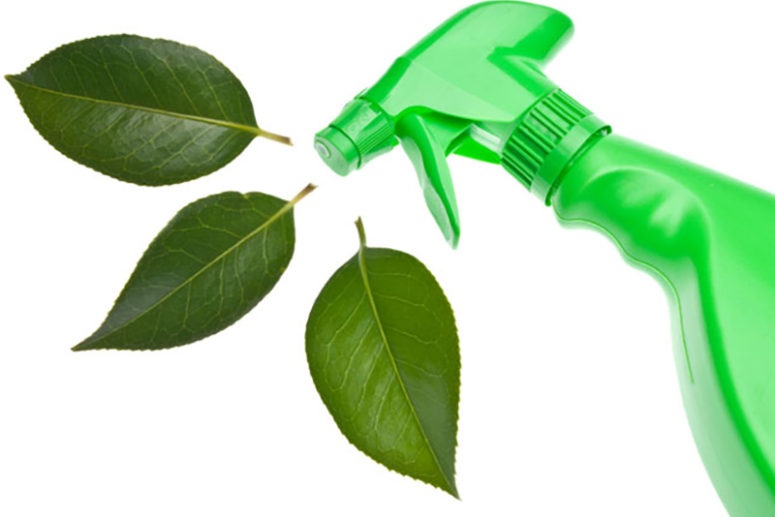 The Importance of Ethical Cleaning