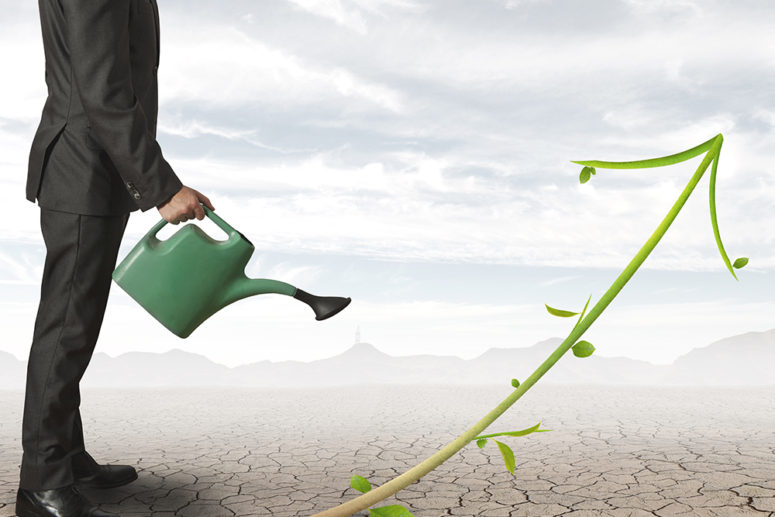 Is Your Business Really Green? 5 Ways To Tell