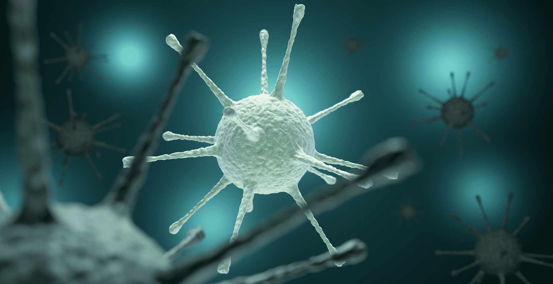 infection-prevention-resources