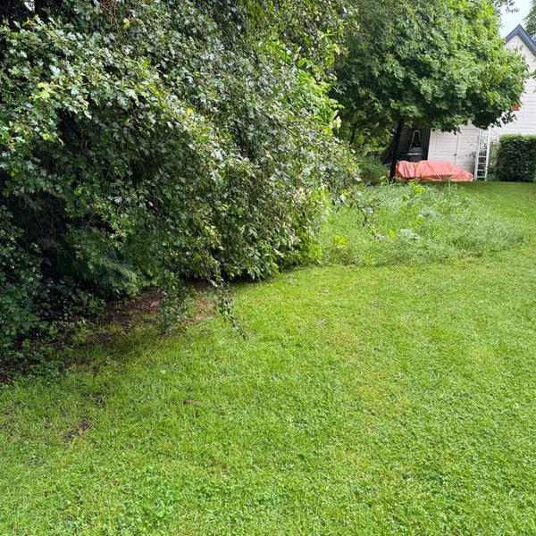 open-lawns-600x600